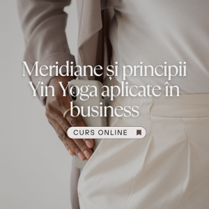 Meridiane si principii Yin Yoga aplicate in business