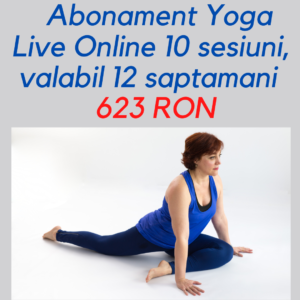 Abonament 10 ședinte practice